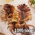반건조 오징어(몸통&다리) 치미 500g(10미)