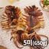 반건조 오징어(몸통&다리) 대 650g(5미)