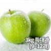 새콤 시큼 아오리 사과 3kg (특대과 9~12과 개당 250~330g)