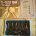 [천생삼농장] 5-6년근 산양산삼 1등급 7뿌리 선물세트 (고급포장+황금보자기)