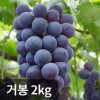 에어셀 포장 국산 거봉포도 2kg(특품 3송이)