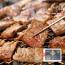 [맛있는청년들] 서서갈비 제주흑돼지왕구이 2.4kg(1.2kgx2팩)+선물세트