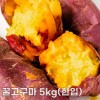 26년산 세척 꿀고구마 5kg(한입)