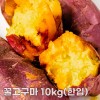 26년산 세척 꿀고구마 10kg(한입)