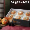 [26년 추석] [웰빙나주배] 나주 신고배 선물세트 5kg 5-6과