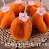 충북 영동 번건시 500g (10~15과)내외