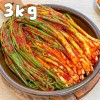 [맛있는집밥] 당일제작 전라도 쪽파김치 3kg