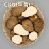 곡성 생토란 10kg(특품)