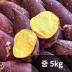 [청년농가] 세척 베니하루카 꿀밤고구마 중(50g~100g) 5kg