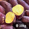 [청년농가] 세척 베니하루카 꿀밤고구마 중(50g~100g) 10kg