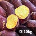 [청년농가] 세척 베니하루카 꿀밤고구마 대(300g 내외) 10kg