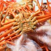 [맛있는청년들][제철특가] 구룡포 연지홍게 고급형 3kg(10미내외/찜발송)