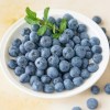 [Frozen] 슈퍼푸드 칠레산 냉동 블루베리 2kg (1kg x 2팩)