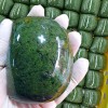 40년전통 명물 물방울 쑥/단호박인절미1kg 택1