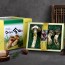 [송림山속] 강원도 자연산 송이버섯 500g/등외품/6~14뿌리(냉동)