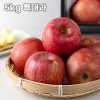[청년농가] 안동 명품사과 특상품 선물세트 사과선물세트 5kg 특대과