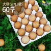 자연을담음 당일산란 무항생제 난각1번 유정란 60구/ 대란