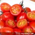 [청년농가] 스테비아 방울토마토 1kg (500g x 2팩)