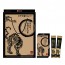 정삼원 활력공진보 30g x 30포