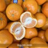 고당도 달콤한 스위트 만다린 2kg (20~24과)