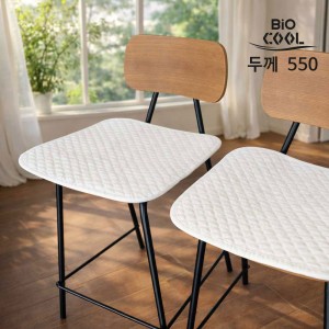 [바이오쿨] 550 냉감패드 방석2P
