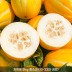 [청년농가] 성주 하우스 꿀참외 가정용 성주참외 5kg 중소과(15-23과 내외)