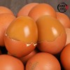 미각기행 촉촉 탱글한 명품 구운란 90구(중란) (소금동봉)