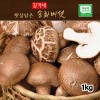 김가네 고급형 송화버섯 1kg