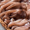 [청년농가] 포항 냉풍건조 반건조 피데기오징어 5미 (총 1kg 내외)