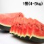[더기다림_두] 신선한 수박 1통(4~5kg)