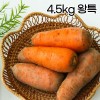 2026년 햇당근 국내산 아삭한 신선 당근 4.5kg 왕특