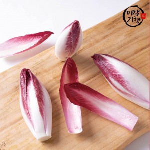 [미각기행] 프리미엄 레드 엔다이브 200~250g 2개입