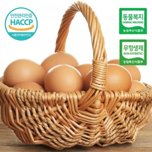동물복지 무항생제 자연바구니 유정란 20구