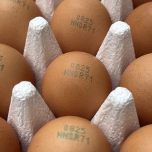 동물복지 무항생제 자연바구니 유정란 60구