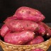 여주 호풍미 주황빛 밤꿀고구마 2kg (특상)