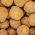 국내산 100% 고소한 26년 수미 햇감자 중 10kg (40g~50g)