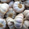 국산 26년산 통마늘(햇마늘) 2kg 내외(특/대 혼합)