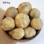 2026년 국내산 햇(노지) 수미 감자 왕특(180g~350g)/3kg