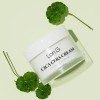 [론지] 시카 세라마이드 크림 50g (Cica Cera Cream)