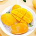 [아이스] 망고바 생과일 10개(60g*10)