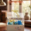 [제이디블루] 시들지 않는 프리저브 플라워 로즈 가든 기프트 박스 (5종 택1)