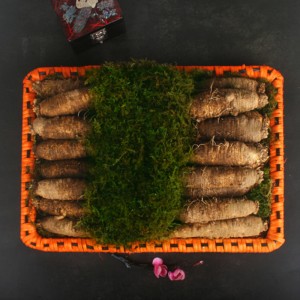 횡성더덕채반 2.5kg(45-65뿌리)