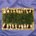 [풍기인삼]6년근 수삼 500g(15-20뿌리)