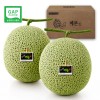 [GAP/당도보장]곡성머스크메론2P 5kg