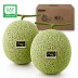 [GAP/당도보장]곡성머스크메론2P 5kg