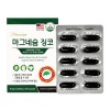 프리미엄마그네슘징코 1,520mg x 60캡슐