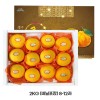 ★26년추석명절 선물용★ 제주 서귀포 황금향 2KG (비닐포장)/8-12과