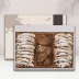 [브라이트데이] 프리미엄 국내산 버섯 선물세트(동고70g+표고채80g) 26c_co_01