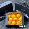 제주직송 프리미엄 황금향 선물세트 5kg - 소