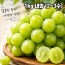 [경매선별농산물] 샤인머스켓 (경상도 김천) 1kg 내외 (2~3수)